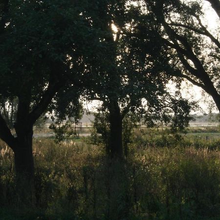 Landhaus An Der Wiek 포세리츠 외부 사진